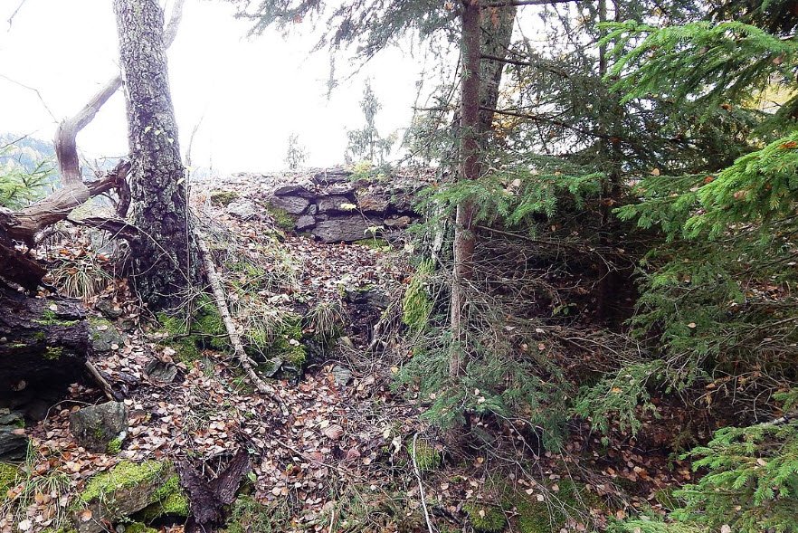 Ruine Neudeck , , Austria